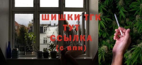 ECSTASY Алзамай