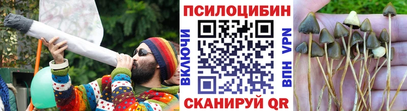где купить наркоту Урай Псилоцибиновые грибы мухоморы