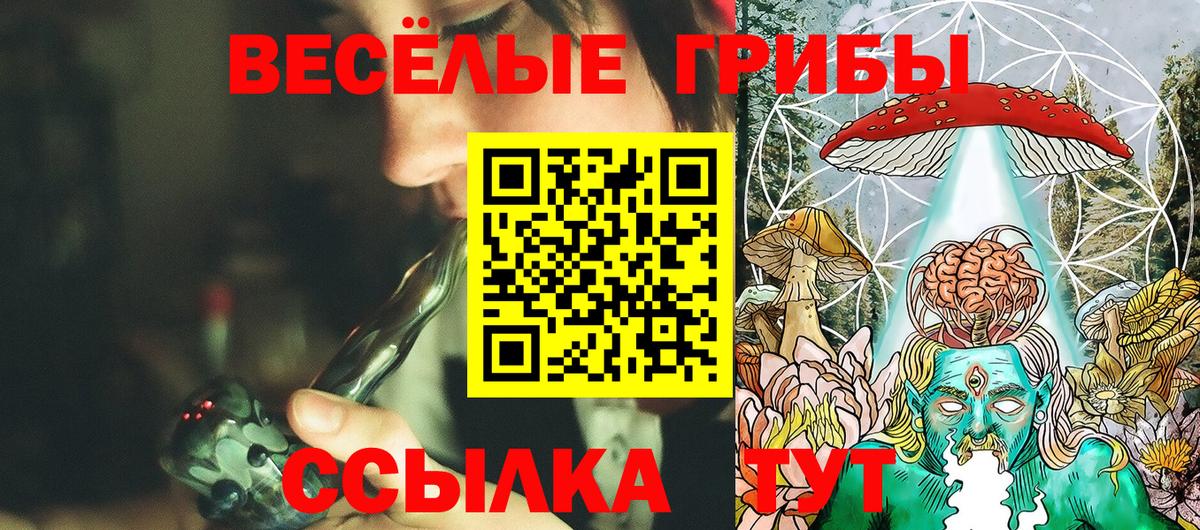 Галлюциногенные грибы Psilocybine cubensis Урай